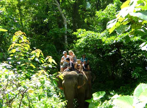 Elephant ride on this trek