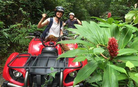 ATV into the jungle