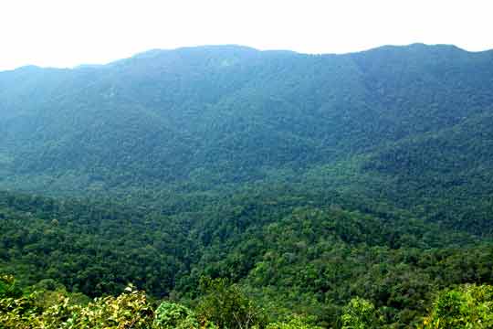 Above Klong Prao