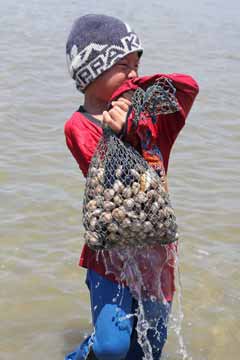 First, harvest your food Harvesting Shells