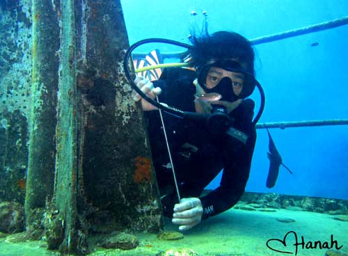 Diving Koh Chang - not bad ! Diving Koh Chang - not bad !