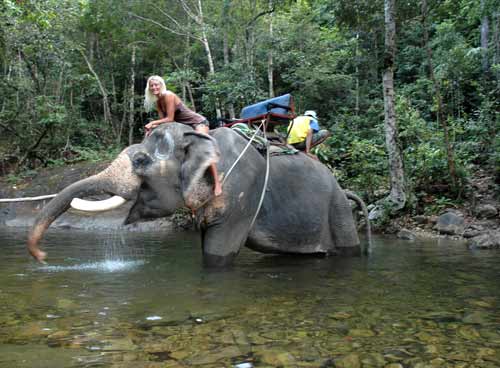 Refreshing water hole at Klong Prao Refreshing water hole at Klong Prao