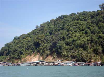 Mangroves surround Salak-kok Bay, Koh Chang