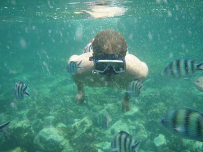 Koh Chang Snorkeling by Speed Boat