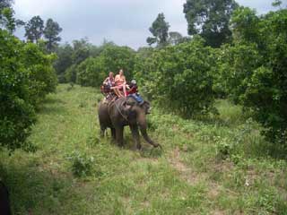 Chang Chutiman Elephant Trek Koh Chang